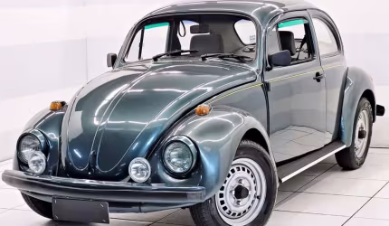 Volkswagen fusca 1994 1.6 8v gasolina 2p manual