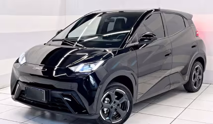 Byd dolphin mini 2024 38 kw elétrico