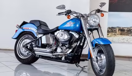 Harley davidson fat boy flstfb