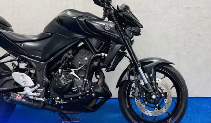 Mt 03 abs