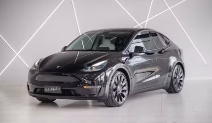 Tesla model y tesla model y