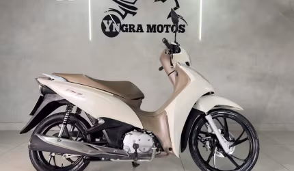 Honda biz 125/125i flex
