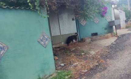 Chácara / sítio com 2 quartos à venda no Parque Rodrigo Barreto, Arujá 
