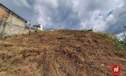 Terreno à venda, 595 m² por R$ 650.000,00 - Buritis - Belo Horizonte/MG