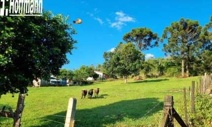 Terreno comercial à venda no Floresta, Estância Velha 