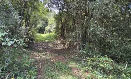 Terreno à venda no Floresta, Estância Velha 