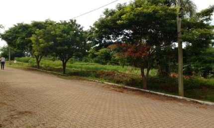 Terreno à venda em União, Dois Irmãos 