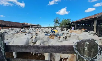 Fazenda à venda, 1258400 m² por R$ 9.600.000,00 - Fazendinha - Araruama/RJ