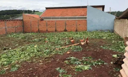 Terreno à venda no Centro, Ribeirão Preto 
