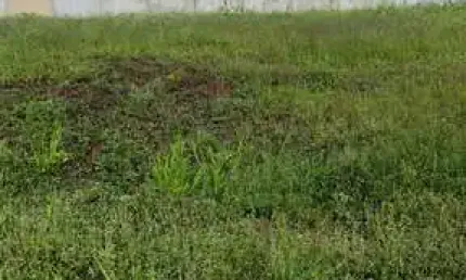 Terreno à venda no Portal da Mata, Ribeirão Preto 