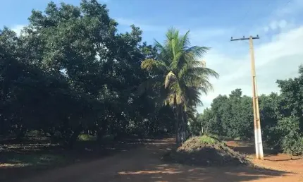 Terreno à venda no Centro, Ribeirão Preto 