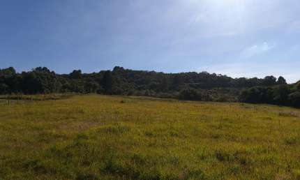 Chácara, 34.570 m², à venda por R$ 490.000 Contenda - São José dos Pinhais/PR