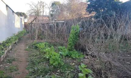 Terreno ZR3, plano com 462 m², à venda por R$ 550.000 Costeira - São José dos Pinhais/PR