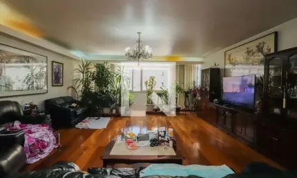 Apartamento para Venda - Bom Retiro, 4 Quartos,  303 m² - São Paulo