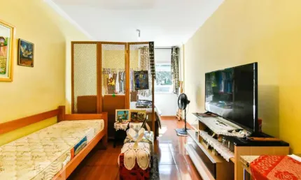 Kitnet / Stúdio para Venda - Santa Cecília, 1 Quarto,  30 m² - São Paulo