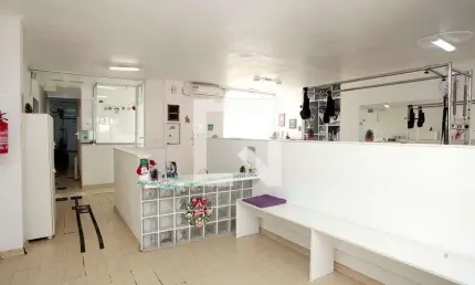 Casa para Venda - Petrópolis, 3 Quartos,  230 m² - Porto Alegre