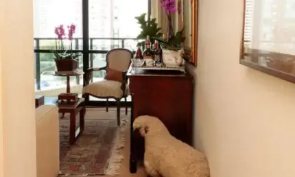 Apartamento para venda - paraíso, 2 quartos,  90 m² - são paulo