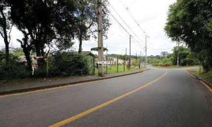Terreno à venda na Roseira de São Sebastião, São José dos Pinhais 