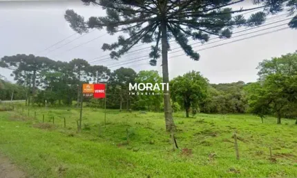 Chácara / sítio à venda no Lagoinha, Tijucas do Sul 