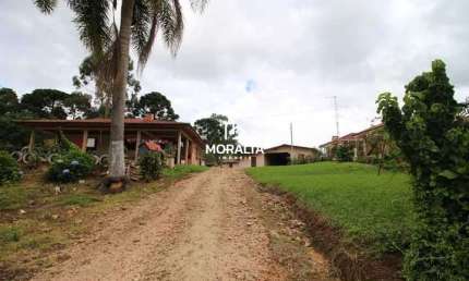 Chácara / sítio com 5 quartos à venda no Lagoinha, Tijucas do Sul 