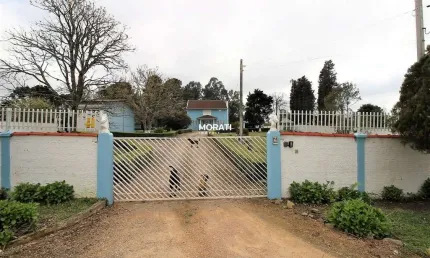 Chácara / sítio com 4 quartos à venda no Campo Largo da Roseira, São José dos Pinhais 