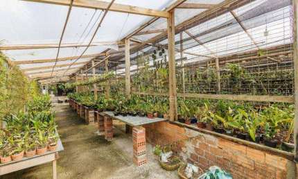 Terreno à venda, 6000 m² por R$ 450.000,00 - Área Rural de São José dos Pinhais - São José dos Pinhais/PR