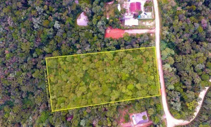 Terreno à venda, 11000 m² por R$ 450.000,00 - Área Rural de São José dos Pinhais - São José dos Pinhais/PR