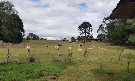 Chácara à venda, 43000 m² por R$ 990.000,00 - São Sebastião - Araucária/PR