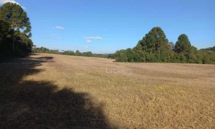 Chácara com 5 dormitórios à venda, 58372 m² por R$ 2.190.000,00 - Centro - Antônio Olinto/PR