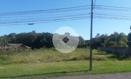 Terreno à venda, 16.500 m² por R$ 1.889.000 - São Miguel - Araucária/PR