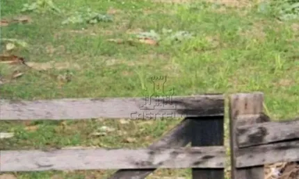 Terreno à venda, 300 m² por R$ 550.000,00 - Indústrias Leves - Londrina/PR