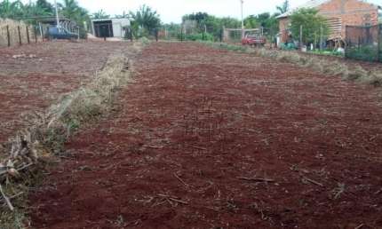 Chácara à venda, 1000 m² por R$ 90.000,00 - Zona Rural - Londrina/PR