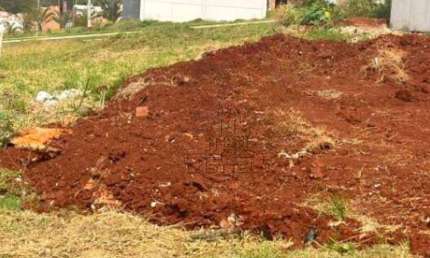 Terreno à venda, 250 m² por R$ 160.000,00 - Jardim Maracanã - Londrina/PR