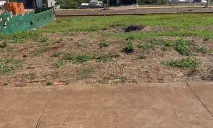 Terreno à venda, 256 m² por R$ 270.000,00 - Abussafe - Londrina/PR