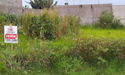 Terreno à venda, 250 m² por R$ 60.000,00 - Vila Martins - Ibiporã/PR