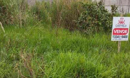 Terreno à venda, 250 m² por R$ 65.000,00 - Balnário Tibaji - Ibiporã/PR