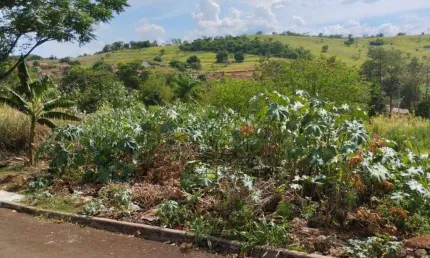 Terreno à venda, 250 m² por r$ 70.000,00 - esperança - ibiporã/pr
