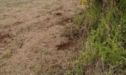 Chácara à venda, 450 m² por R$ 95.000,00 - Centro - Alvorada do Sul/PR
