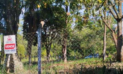 Chácara à venda, 971 m² por R$ 100.000,00 - Três Bocas  - Londrina/PR