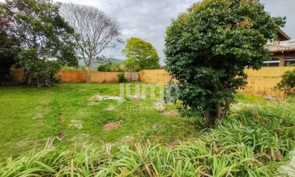 Terreno à venda, 465 m² - viabilidade multifamiliar - Novo Campeche - Florianópolis/SC