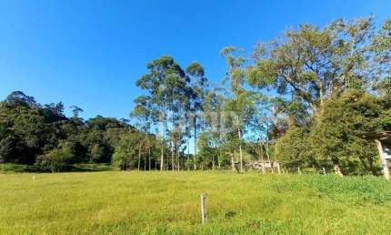 Terreno à venda na Arnoldo Alfredo Stahelin, Santa Tereza, São Pedro de Alcântara