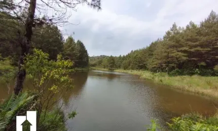 Chácara / sítio com 1 quarto à venda em Borda do Campo, São José dos Pinhais  por R$ 1.800.000