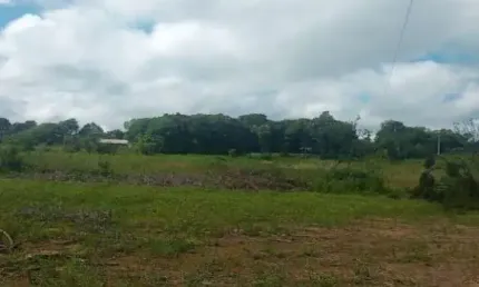 Terreno comercial à venda em campina do taquaral, são josé dos pinhais  por r$ 2.600.000