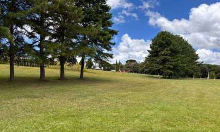 Terreno à venda na Rodovia BR-376, Campo Largo da Roseira, São José dos Pinhais, 3779 m2 por R$ 990.000