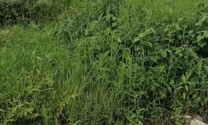 Terreno à venda no São Paulo, Navegantes 