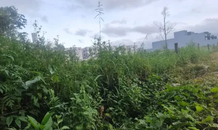 Terreno à venda no São Paulo, Navegantes 