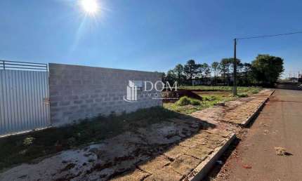 Terreno comercial para alugar na Rua Assis Chateaubriand, Jardim das Américas, Guarapuava