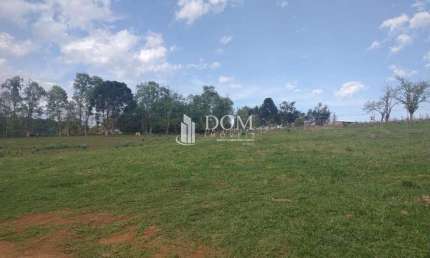 Terreno à venda na Vila Jordão, Guarapuava 