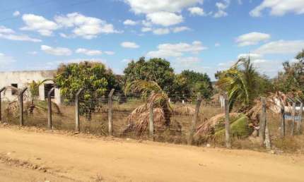 Chácara / sítio com 4 quartos à venda em Jaíba, Feira de Santana 