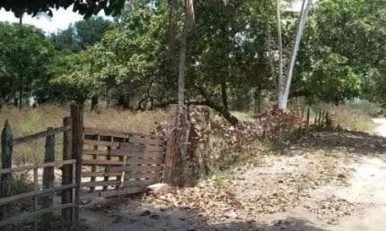 Chácara / sítio com 2 quartos à venda no Sim, Feira de Santana 